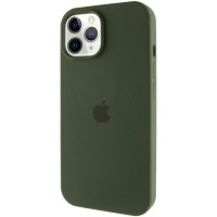 Силіконовий чохол Silicone Case Full Protective (AA) with MagSafe для Apple iPhone 11 Pro Max (6.5) - Зелений / Cyprus Green