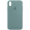 Силіконовий чохол Silicone Case Full Protective (AA) для Apple iPhone X / XS (5.8) - Зелений / Cactus