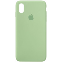 Силіконовий чохол Silicone Case Full Protective (AA) для Apple iPhone X / XS (5.8) - Зелений / Pistachio