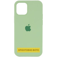 Силіконовий чохол Silicone Case Full Protective (AA) для Apple iPhone 16 Pro Max (6.9) - М'ятний / Mint