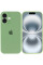 Силіконовий чохол Silicone Case Full Camera Protective (AA) для Apple iPhone 16 Plus (6.7) - М'ятний / Mint - фото
