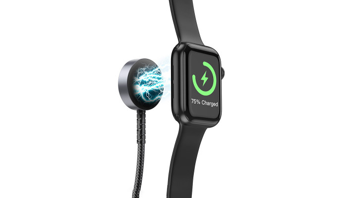 БЗП Hoco CW54 2in1 for Apple Watch + Type-C / Lightning Black - фото