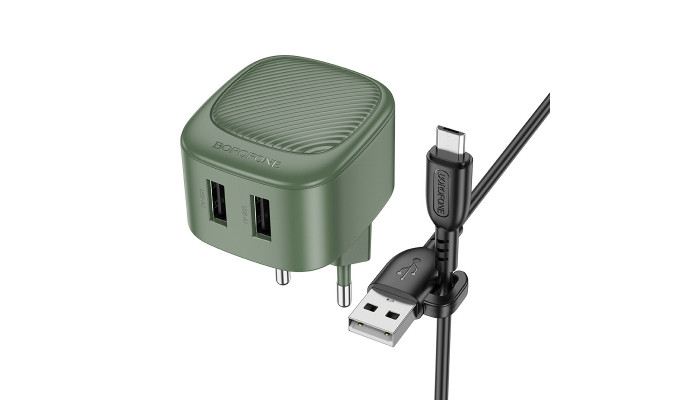 Сетевое зарядное устройство (зарядка) Borofone BAS21A Special (2A) + Type-C Olive Green - фото