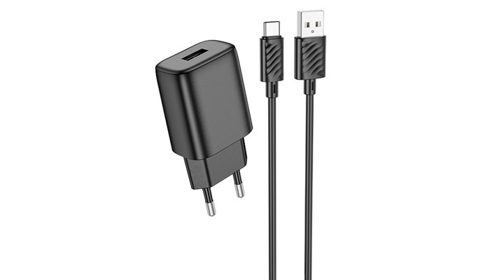 Мережевий зарядний пристрій (зарядка) Hoco C134A Solid 1USB-A 12W + Type-C Black - фото