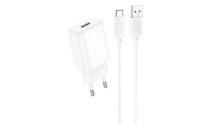 Мережевий зарядний пристрій (зарядка) Hoco C134A Solid 1USB-A 12W + Type-C White - фото