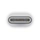 Переходник USB-C to Lightning Adapter for Apple (AAA) (box) White - фото