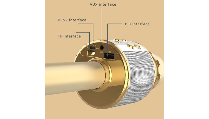 Караоке Мікрофон-колонка WS858L Gold - фото