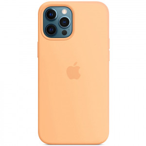 Чехол Silicone case (AAA) full with Magsafe для Apple iPhone 12 Pro / 12 (6.1