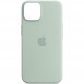 Чехол Silicone case (AAA) full with Magsafe для Apple iPhone 14 Pro (6.1") Бирюзовый / Succulent
