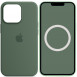 Чехол Silicone case (AAA) full with Magsafe and Animation для Apple iPhone 13 Pro Max (6.7") Зеленый / Eucalyptus