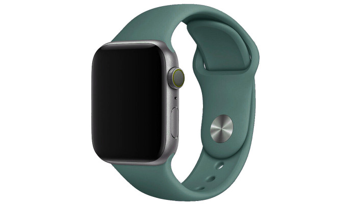 Силіконовий ремінець для Apple watch 38mm/40mm/41mm Зелений / Pine green - фото