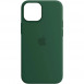 Кожаный чехол Leather Case (AA Plus) with MagSafe для Apple iPhone 14 (6.1") Pine green