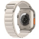 Ремінець Alpine Loop для Apple watch 42mm/44mm/45mm/49mm (m/l) Сірий / Starlight - фото