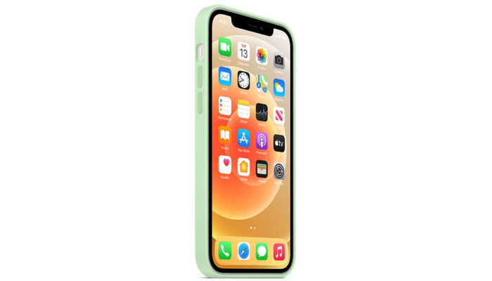 Чехол Silicone Case Full Protective (AA) для Apple iPhone 11 (6.1