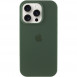 Чохол Silicone Case Full Protective (AA) для Apple iPhone 13 Pro Max (6.7") Зелений / Cyprus Green