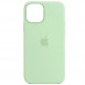 Чехол Silicone Case Full Protective (AA) для Apple iPhone 13 (6.1") Зеленый / Pistachio