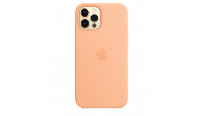 Чехол Silicone Case Full Protective (AA) для Apple iPhone 14 Pro (6.1